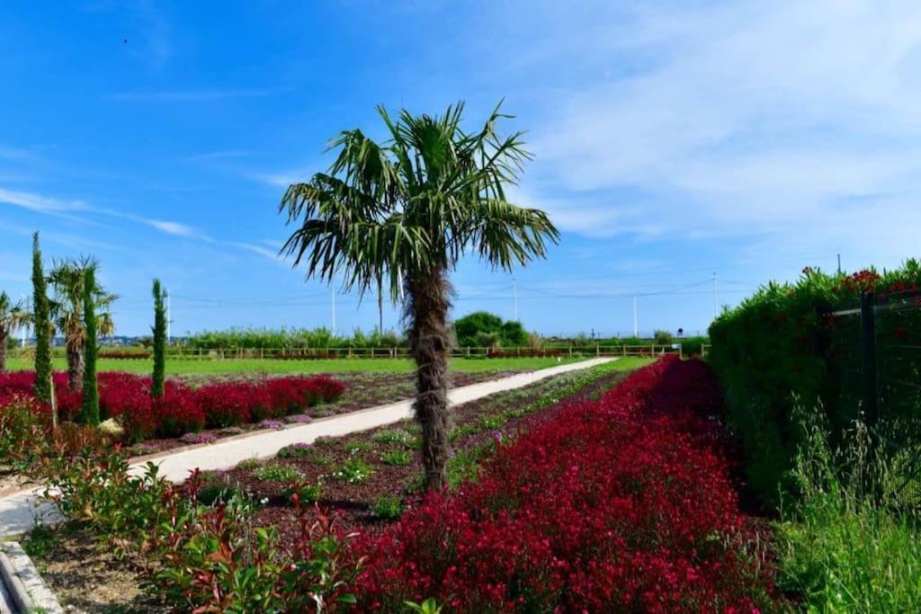 Domaine Juan Flore Antibes Exterior foto